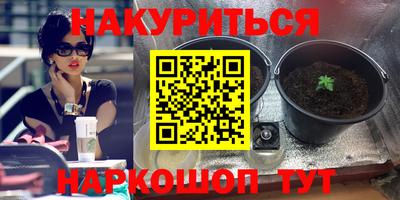 бошки Тверь