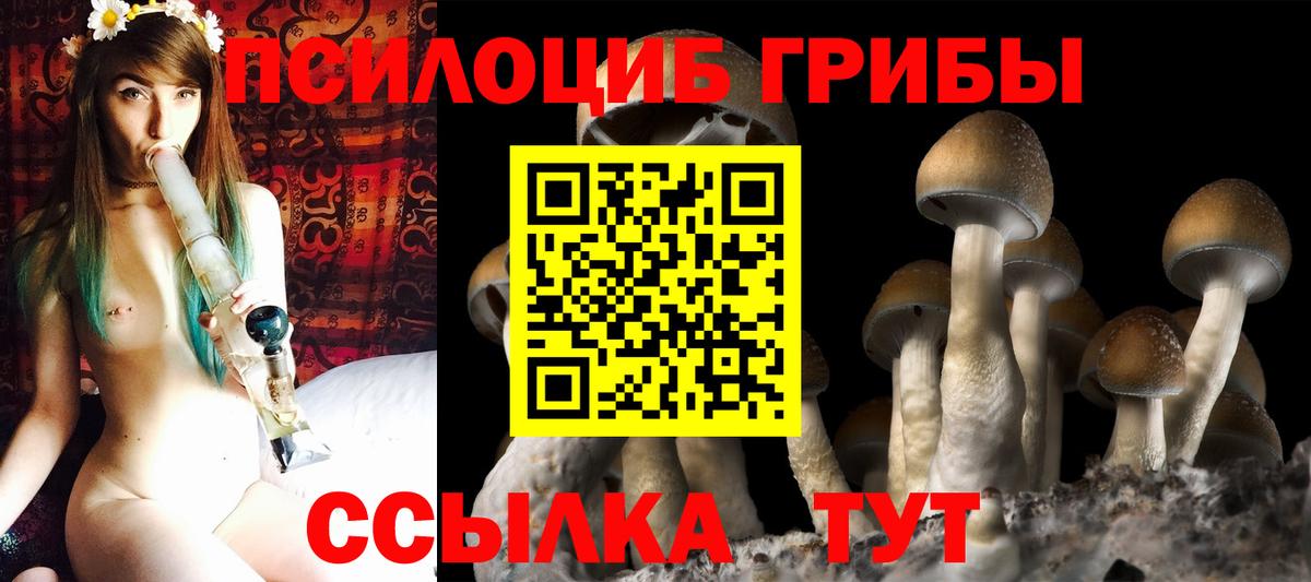 ГАШ  Вход с VPN  Конопля  Новозыбков  Меф МЯУ МЯУ   Экстази  НБОМе 