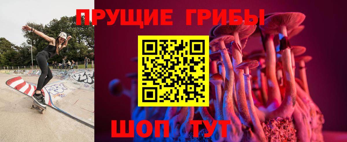 Галлюциногенные грибы ЛСД  Вход с VPN  Новозыбков 